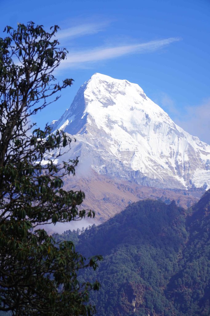 Ghorepani Ghandruk Trek Package