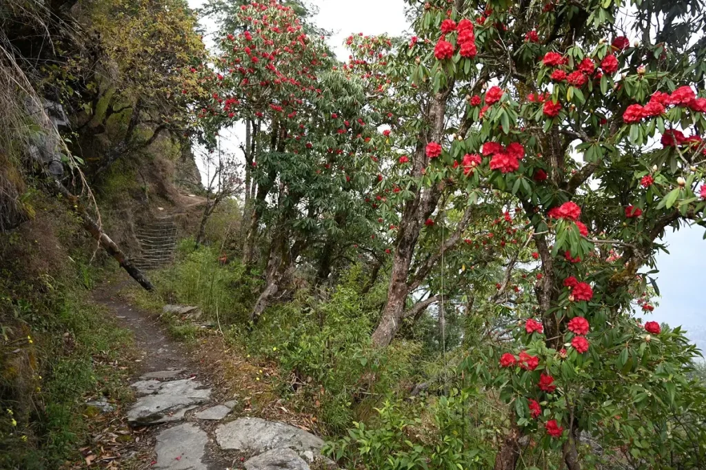 Annapurna Eco-Community Trek Package